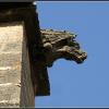 Gargoyle