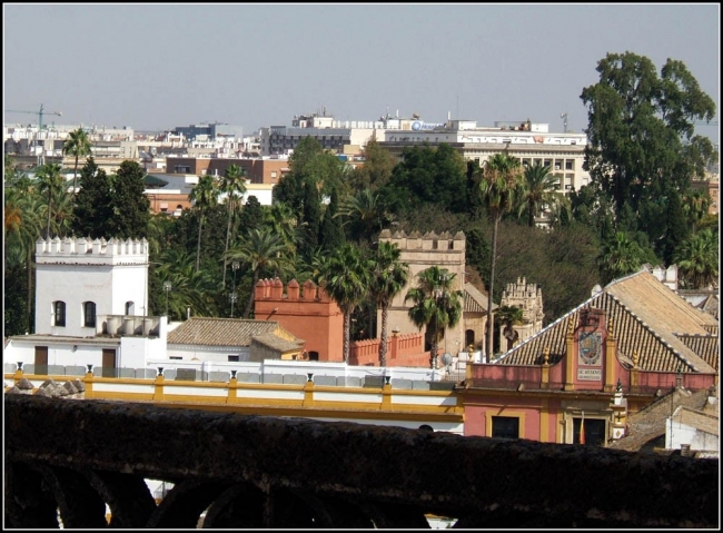 Palace from the Catedral