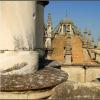 Pillars and Dome 2
