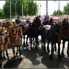 Feria Ground with Horse and Carriages