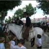 Spanish Fiestas