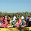 Pilgrims on the Romeria