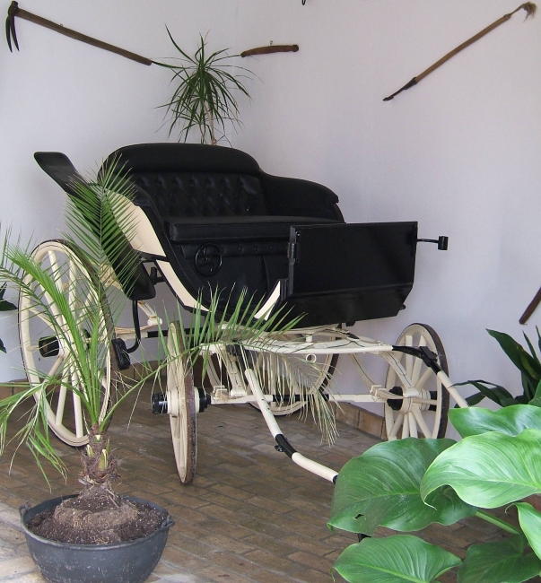 Buggy 2