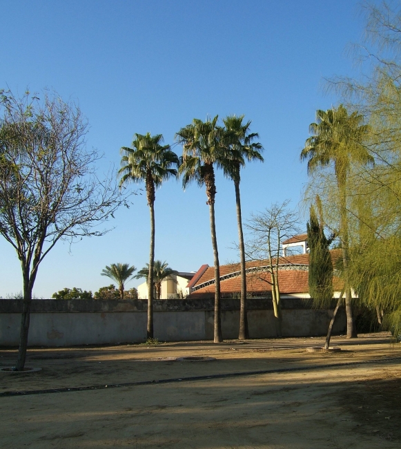 Cartuja Sevilla