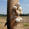 Snails on a post