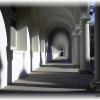 Dresden Arches