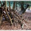 Shelter and Path