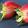 Strawbs 1
