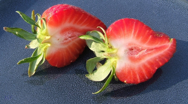 Strawbs 1