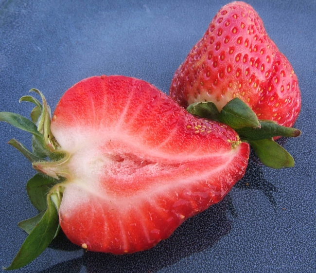 Strawbs 3