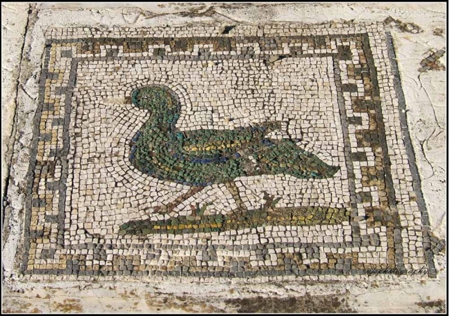 Italica Bird Mosaic 2