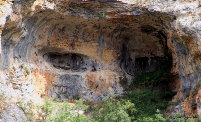 Rock Face