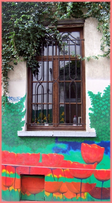 Window and Painted Wall