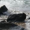Water Scenes 