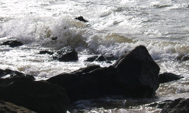 Waves